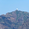 Plants: image 126 Of 208 Thumb